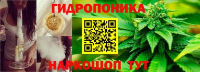 Альфа ПВП Тверь
