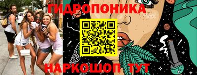 Альфа ПВП Тверь