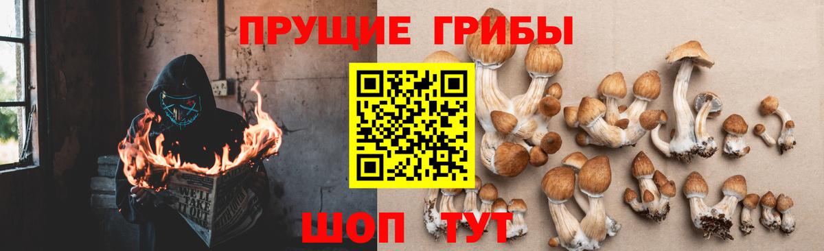 Галлюциногенные грибы прущие грибы  Псилоцибиновые грибы мицелий  Батайск  Вход с VPN 